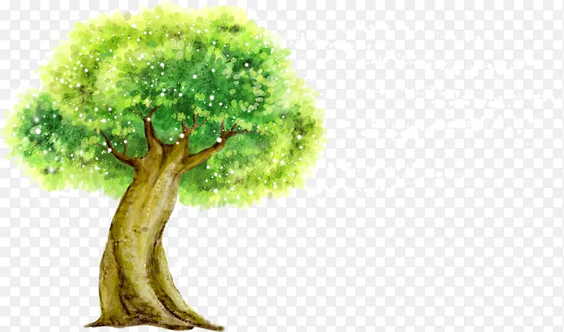 �ʻ���ɫ����-������