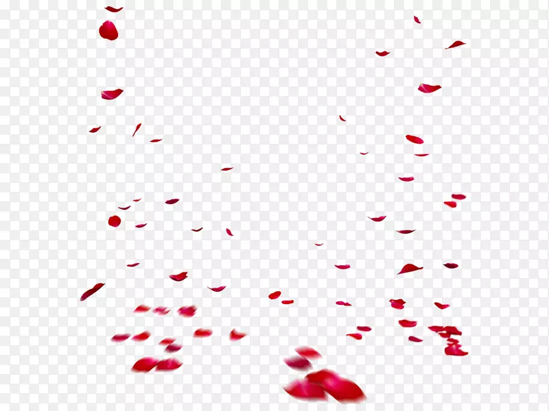 �����Ӱ���������-���-������