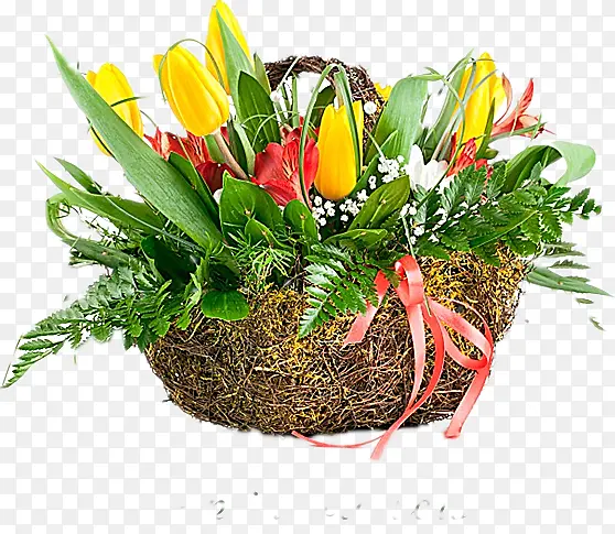 �����㻨��-������