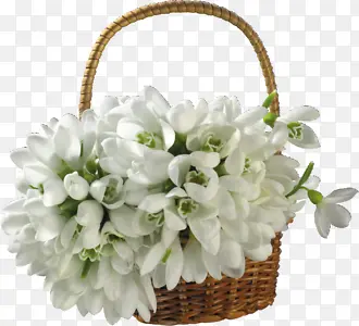 ˮ�ʻ����׻�-������