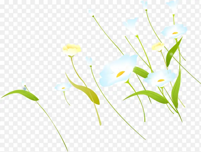 ��ͨ�ֻ����²ݴ�-������