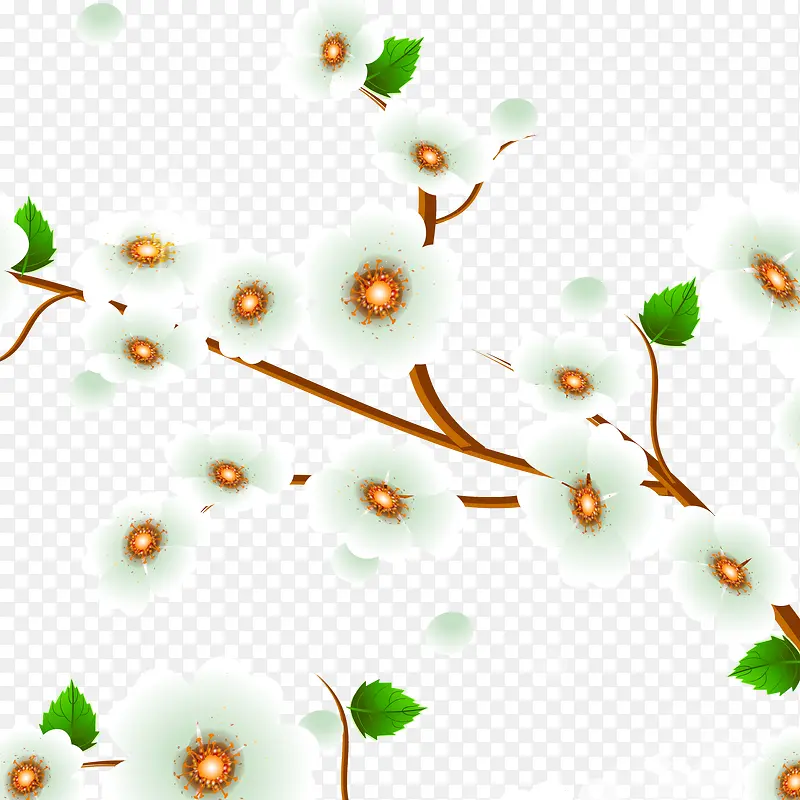 ��ͨ��֦-������