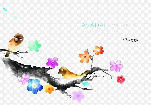 С��֦-������