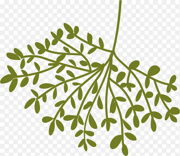 ��ɫ��֦-������