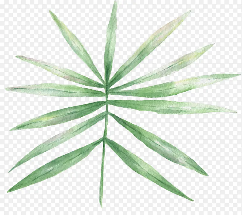 �ֻ�ˮ����֦��Ҷ-������