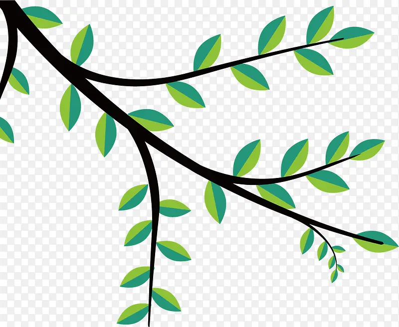 ʸ��ͼˮ����֦��Ҷ-������