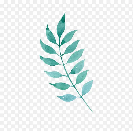 �ֻ�ˮ����֦-������