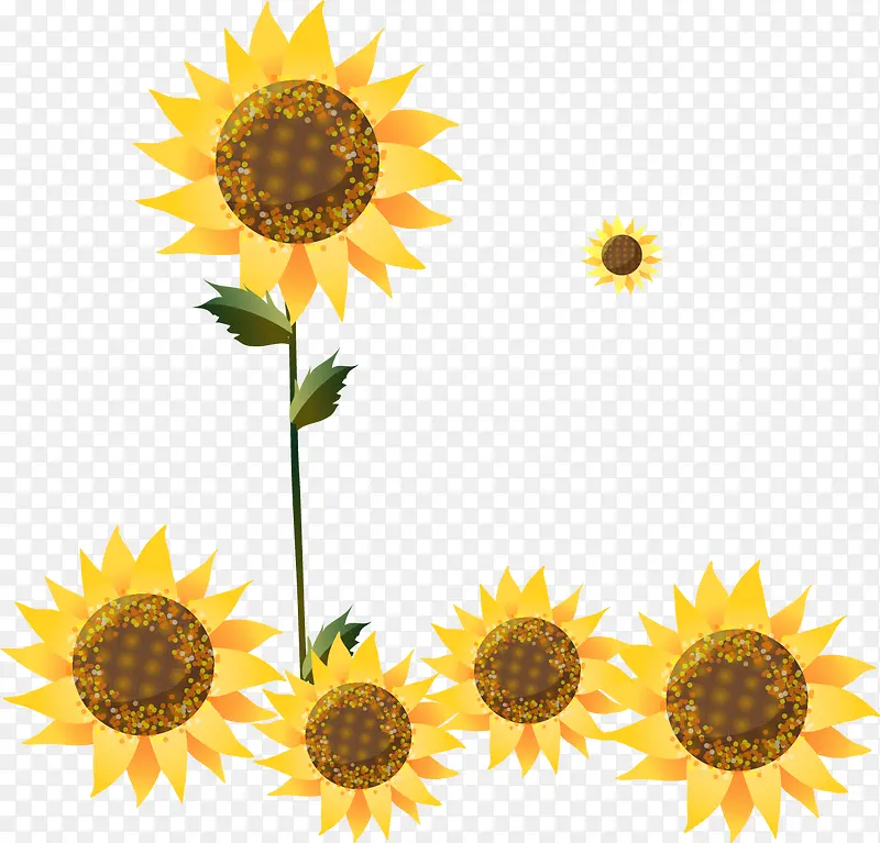 ��ͨ�ֻ澫�����տ�-������