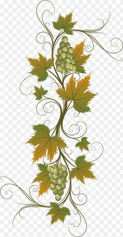 ��ͨ������ֲ�����Ԫ��-������