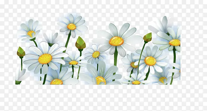 ��ɫС�ջ�-������