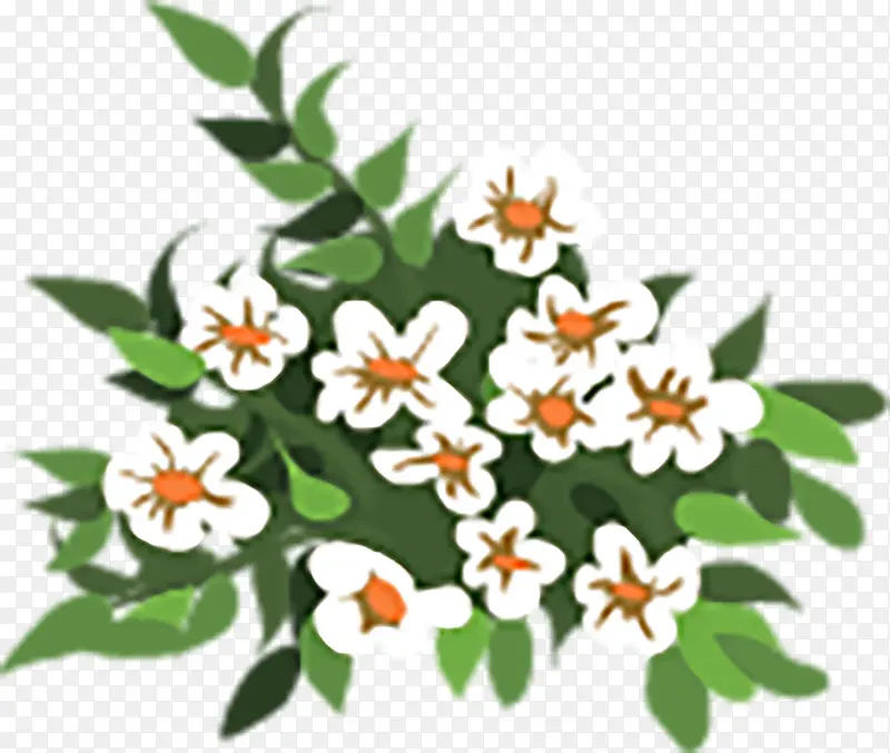 ��ɫ��-������