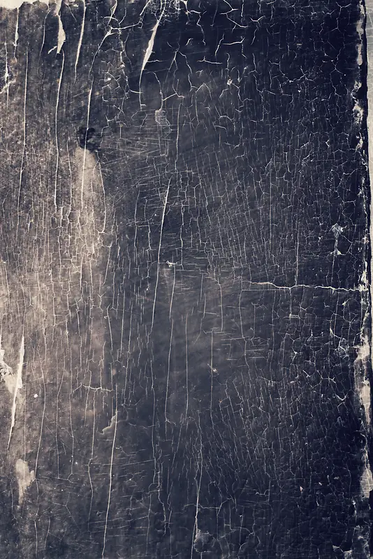 ǽƤ���Ʊ���-������