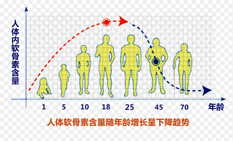 ��������ͼ-������