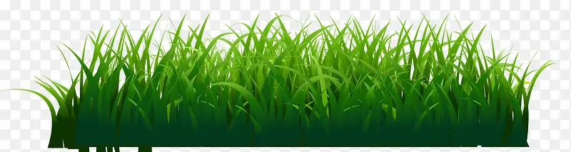 �ֻ���ɫ�ݴ�С��-������