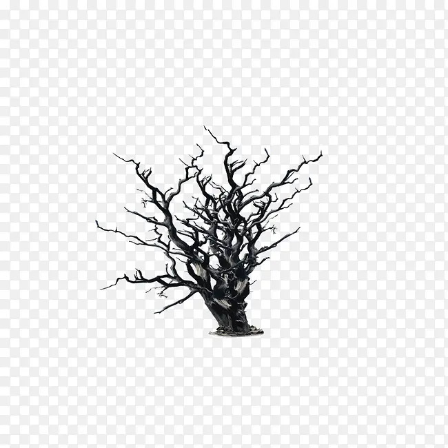 ���ɿ�ľ��ľ-������