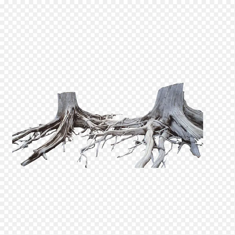 ���ɿ�ľ��ľ-������