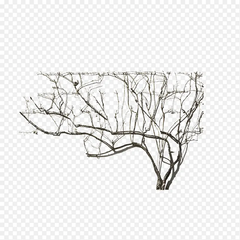 ���ɿ�ľ��ľ-������