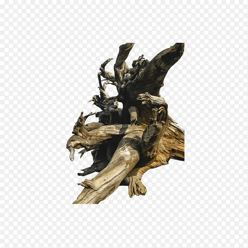 ���ɿ�ľ��ľ-������