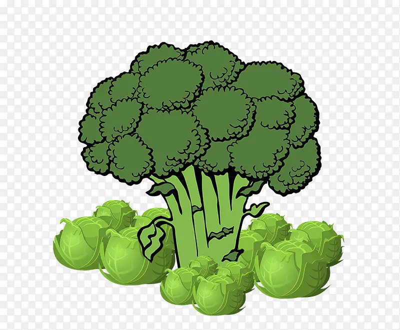 �߲�-������