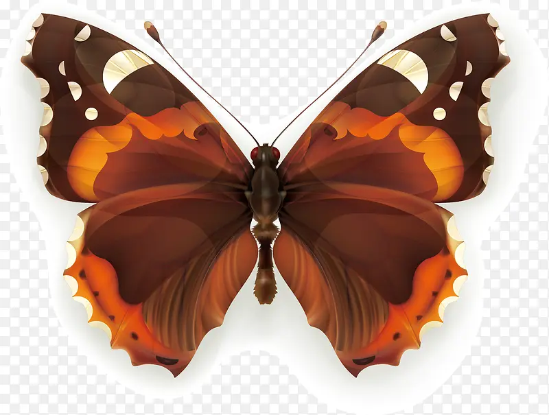 ����ʸ��-������