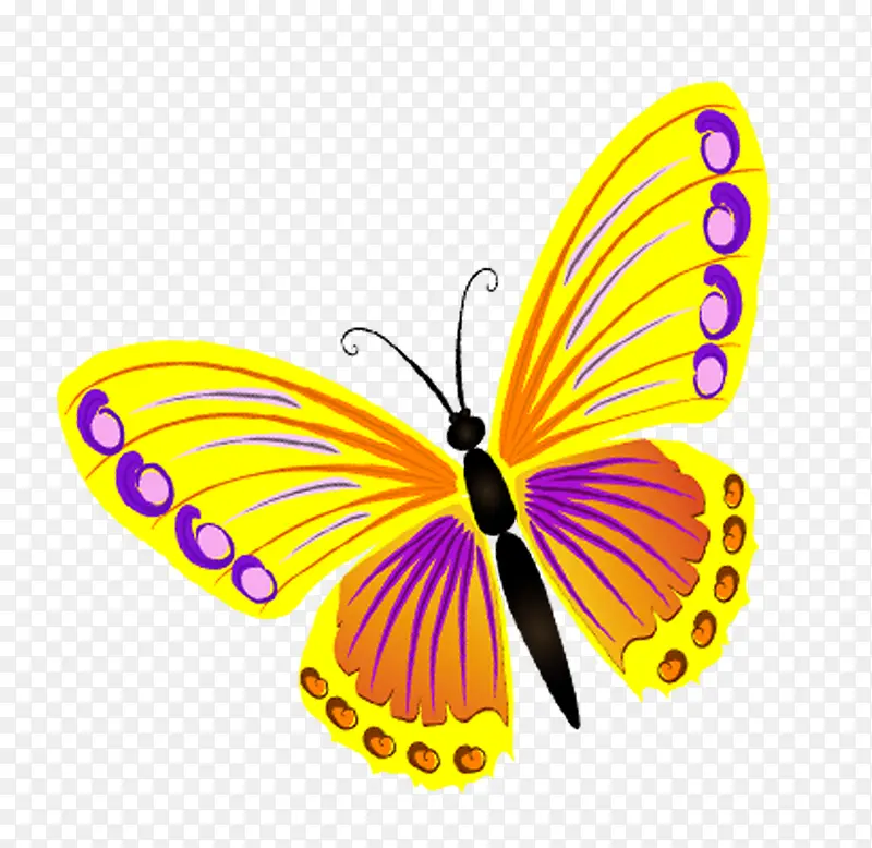 ��ɫ�����ز�-������