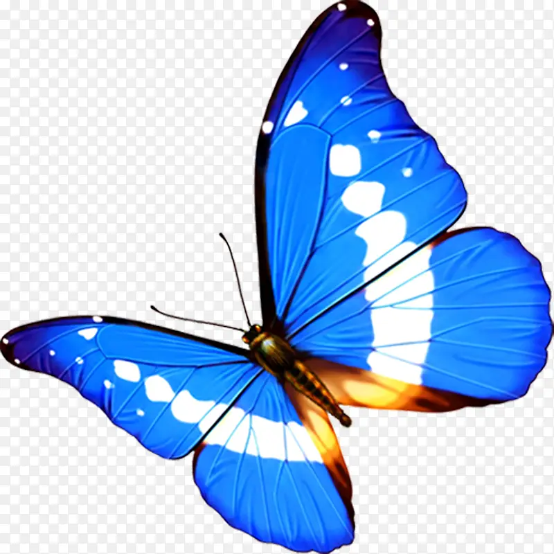 ��ɫ�����ɶ�����-������