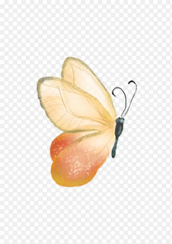 �ɰ�����-������