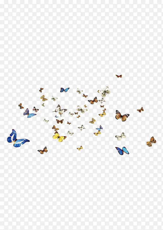 ��������ɶ�-������