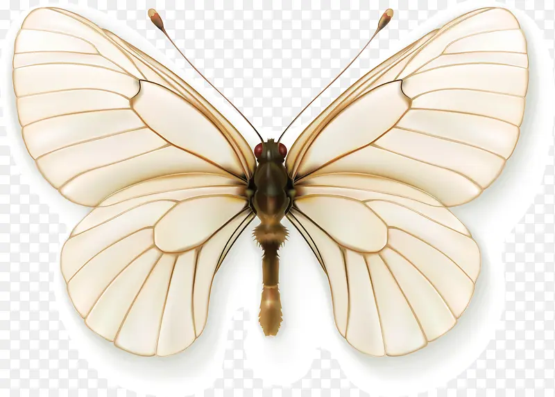 ����ʸ��-������