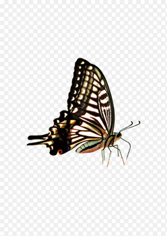 ����-������