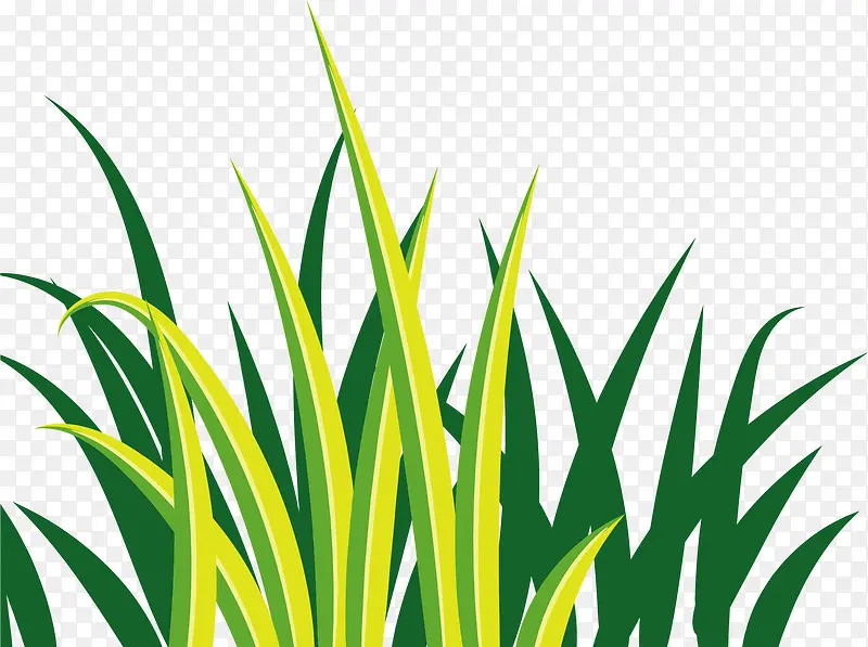 �ֻ���ɫ�ݴ�С��-������