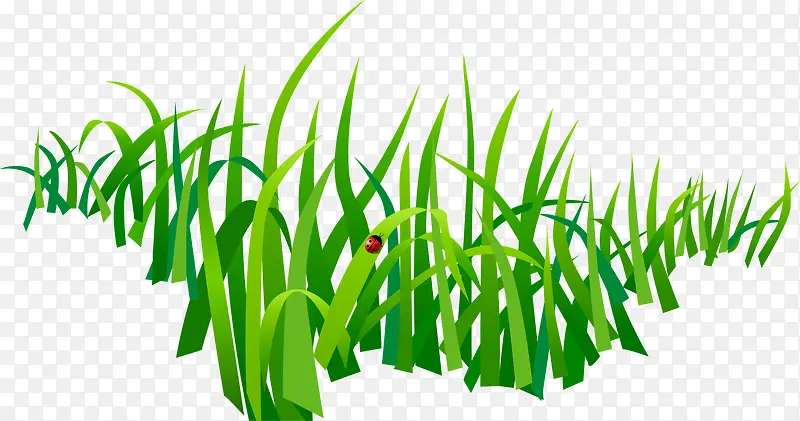 �ֻ���ɫ�ݴ�С��-������