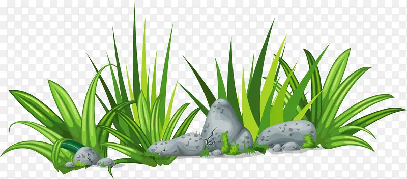 С������ɫС��-������