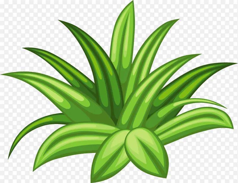 С������ɫС��-������