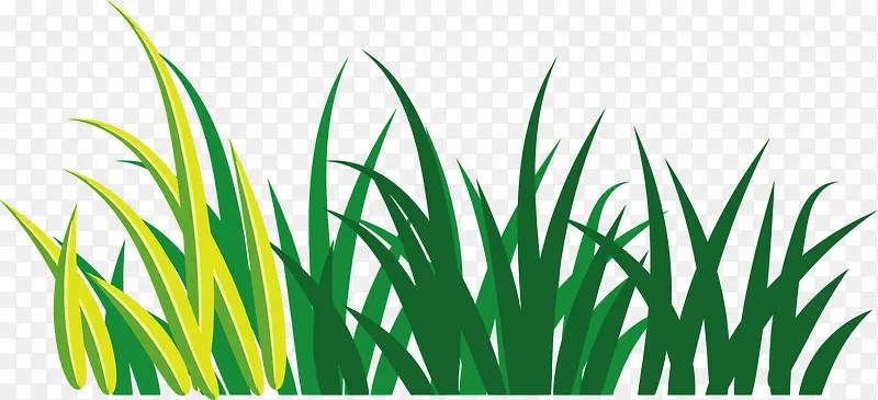 �ֻ���ɫ�ݴ�С��-������