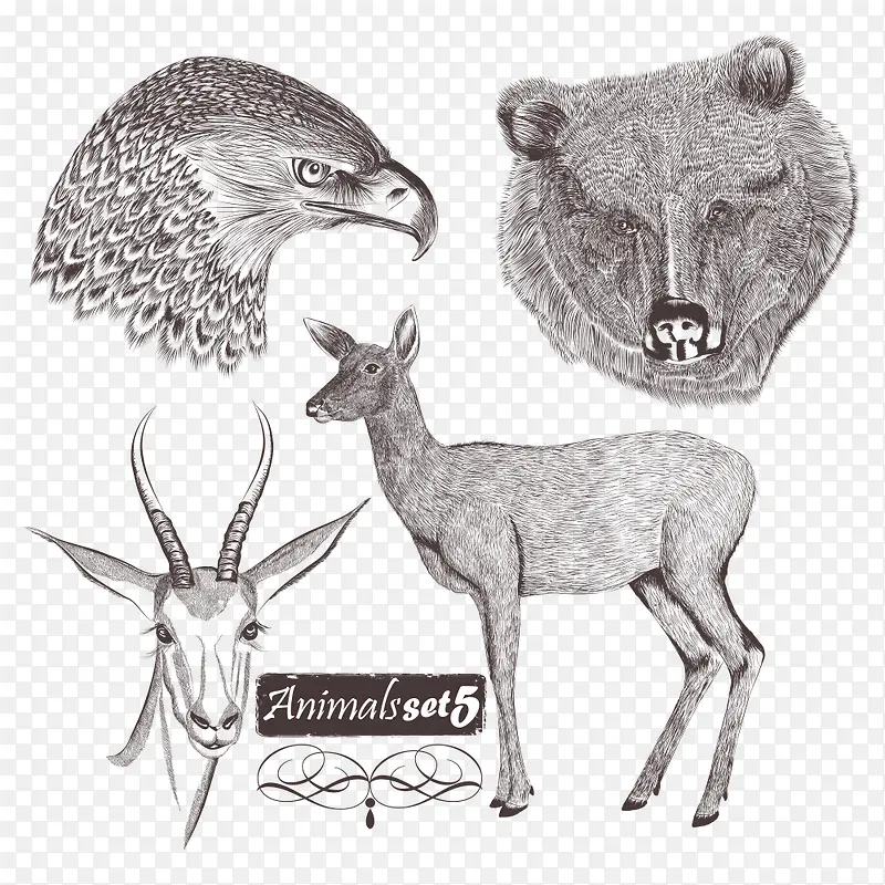 ��ӥ������¹-������