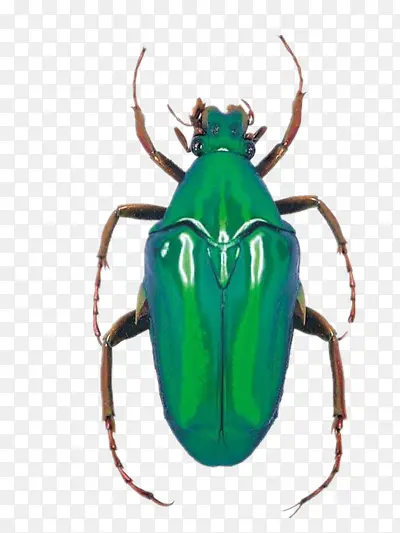 ����-������