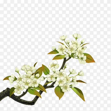 �滨�廭�ŷ�-������