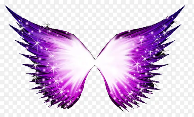 ��ɫ���-������