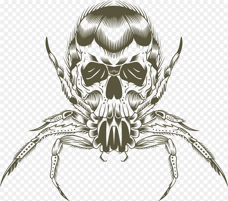 �ֻ�������֩�봴��ͼ��-������