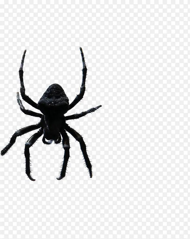 ��֩��-������