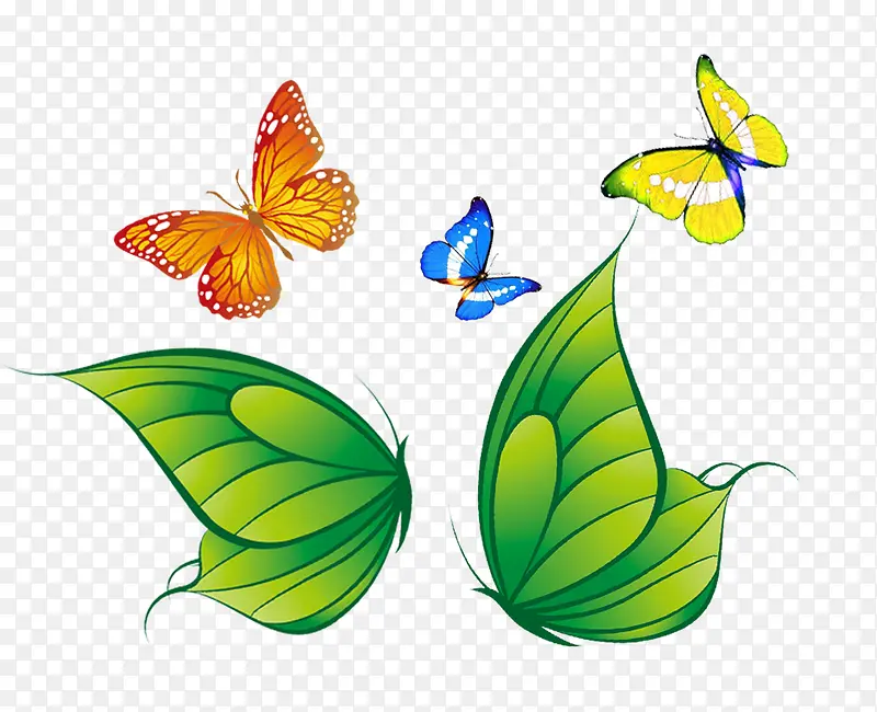 ���ֺ���-������