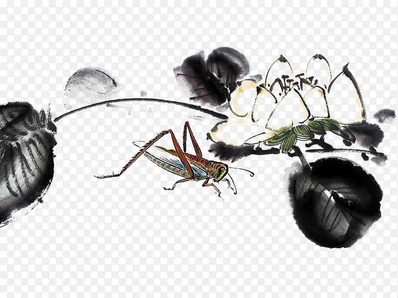 ˮ���ֻ�ֲ�������������-������