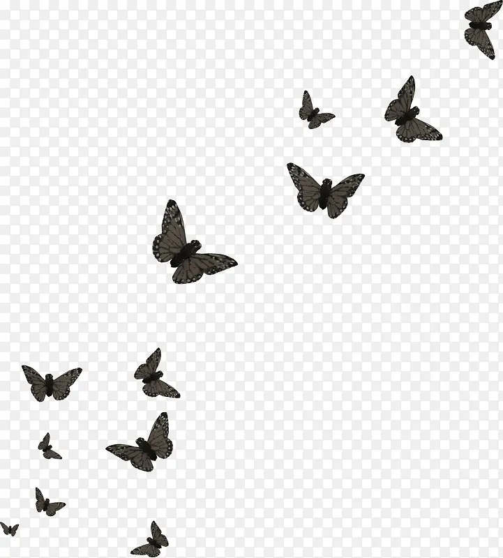 һȺ����-������