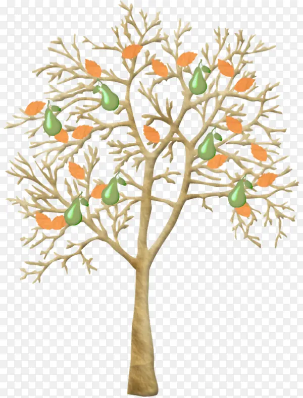 ������ͨ-������