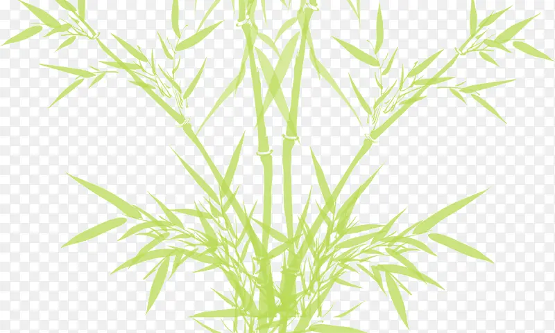 ˮ�ʻ���ɫ����-������