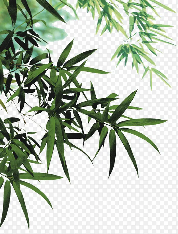 ����-������