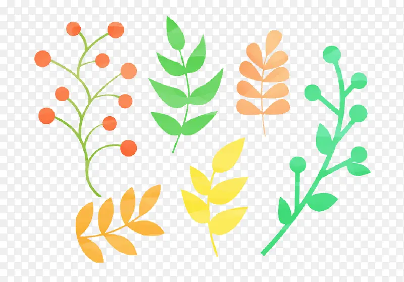 ˮ��Ҷ��-������