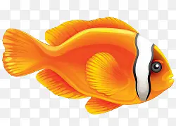 ��ͨ�ֻ溣��Ľ�ɫ��-������