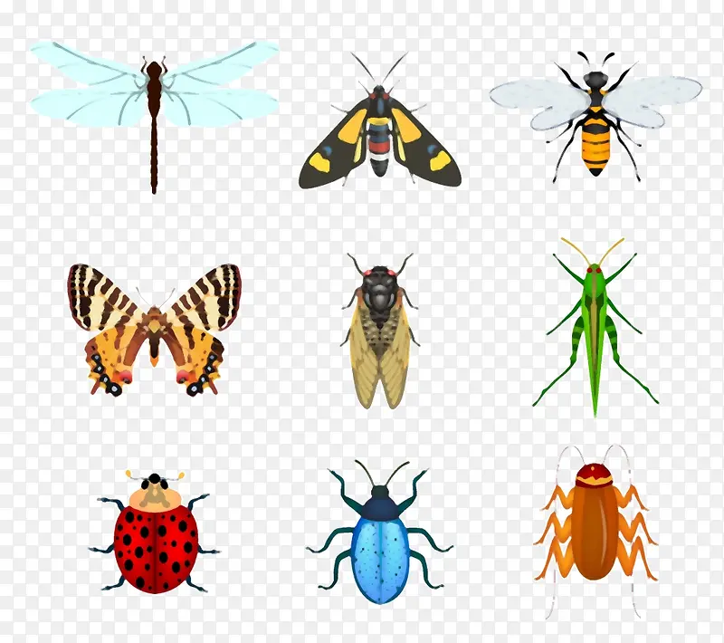 ��ɫ��ͨ����Ԫ��-������